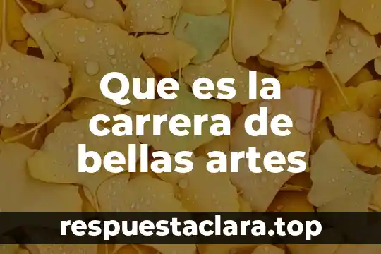 Que es la carrera de bellas artes