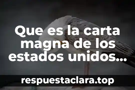 Que es la carta magna de los estados unidos mexicanos
