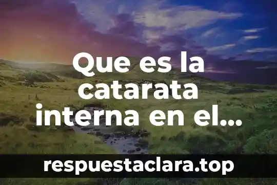 Que es una representación interna 7 Que es la catarata interna en el sexo