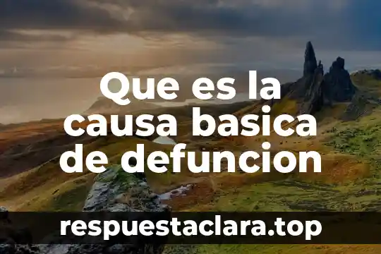 Que es la causa basica de defuncion