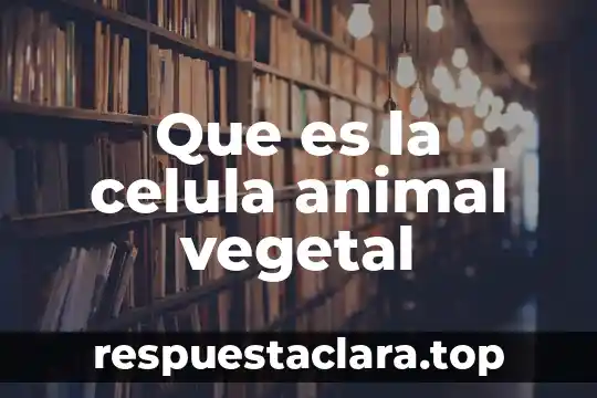 Qué es el núcleo de célula vegetal 5 Que es la celula animal vegetal