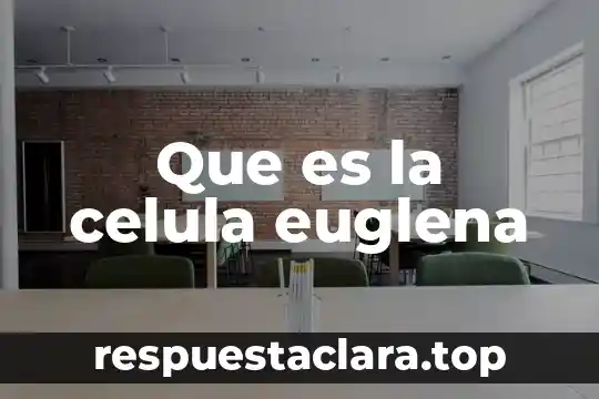 ¿Qué es la célula vegetal y animal? 8 Que es la celula euglena