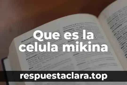 Ácido grabador que es 3 Que es la celula mikina