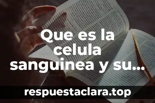 Qué es un equipo de química sanguínea 4 Que es la celula sanguinea y su funcion