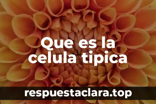 Que es la celula tipica