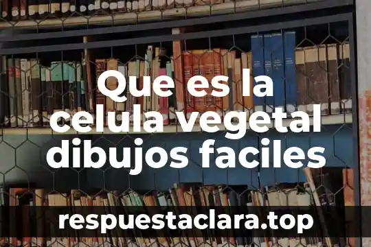 ¿Qué es la célula vegetal y animal? 6 Que es la celula vegetal dibujos faciles