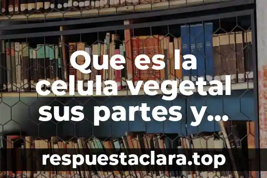 Que es una celula animal y partes 7 Que es la celula vegetal sus partes y funiones