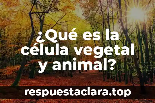 Qué es una célula displásica 3 ¿Qué es la célula vegetal y animal?