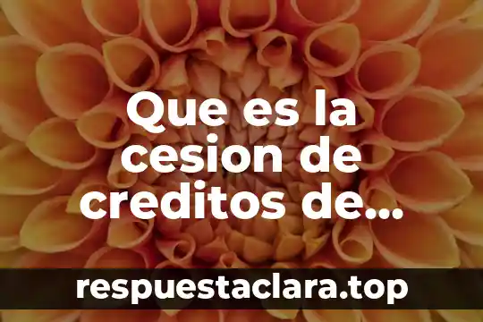 Que es la cesion de creditos de una casa