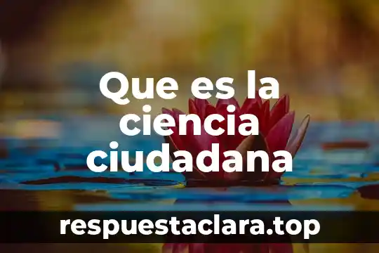 Que es un conocimiento revelado en la ciencia 4 Que es la ciencia ciudadana