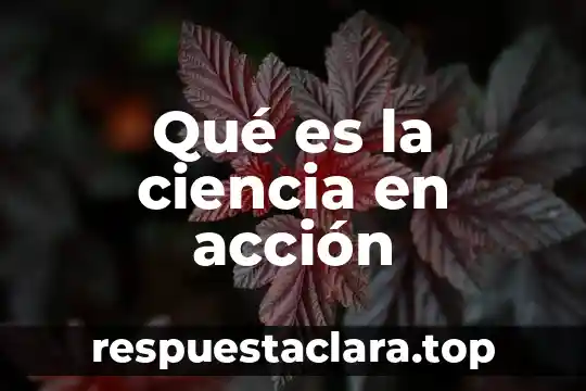 Que es un conocimiento revelado en la ciencia 6 Qué es la ciencia en acción