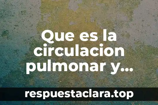 Enfermedad pulmonar que es 4 Que es la circulacion pulmonar y sistemica