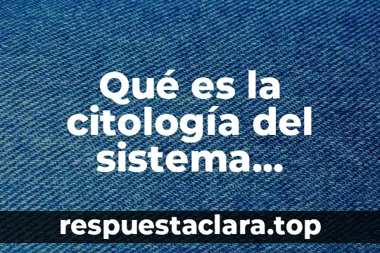 Por qué es importante ser justos delante de Dios 3 Qué es la citología del sistema nervioso
