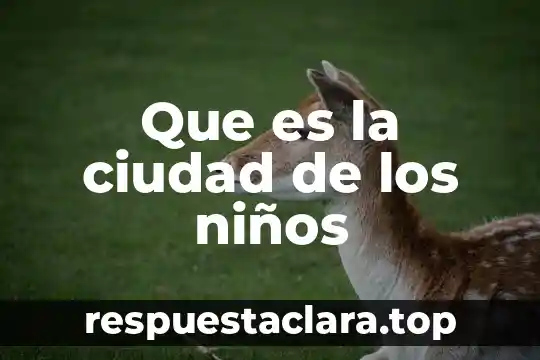 Que es la ciudad de los niños