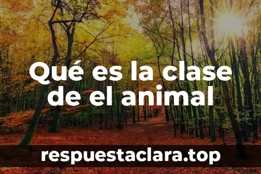 Qué es la clase de el animal