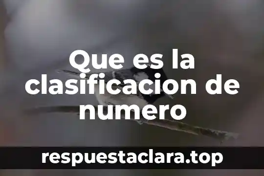 Qué es número cardinal y ordinal 8 Que es la clasificacion de numero