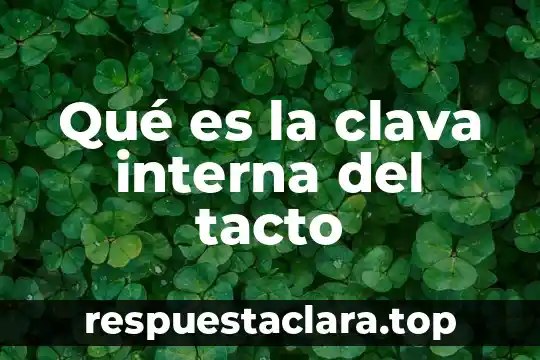 Qué es la clava interna del tacto