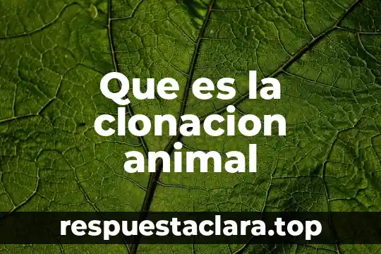 Que es la carga animal en pastoreo 8 Que es la clonacion animal
