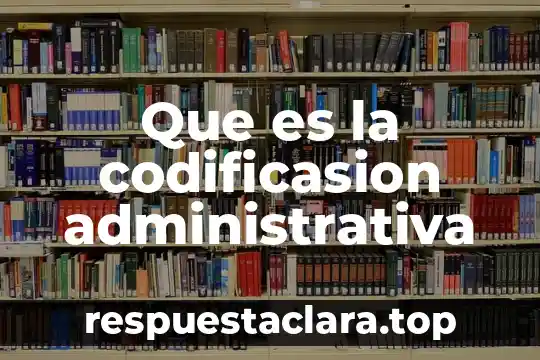 Que es la codificasion administrativa