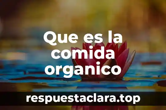 ¿Qué es más denso el agua o un compuesto orgánico? 4 Que es la comida organico