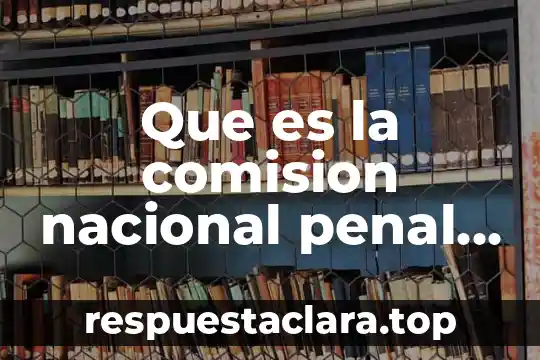 Que es la comision nacional penal y penitenciario