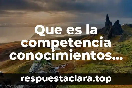 Que es a competencia por espacio 8 Que es la competencia conocimientos enciclopédicos