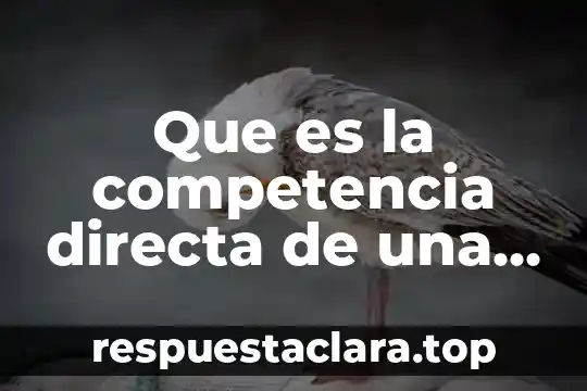 Que es a competencia por espacio 7 Que es la competencia directa de una empresa