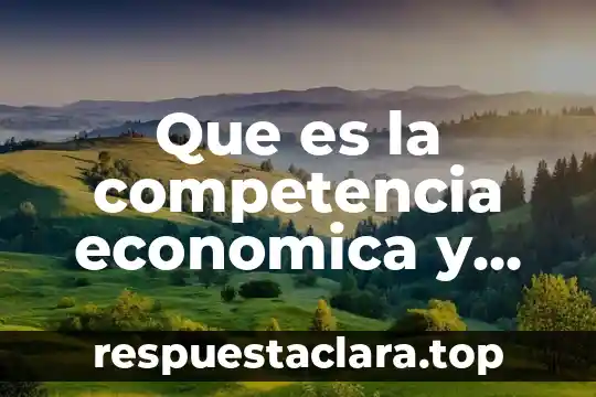 Que es la competencia economica y tecnologica