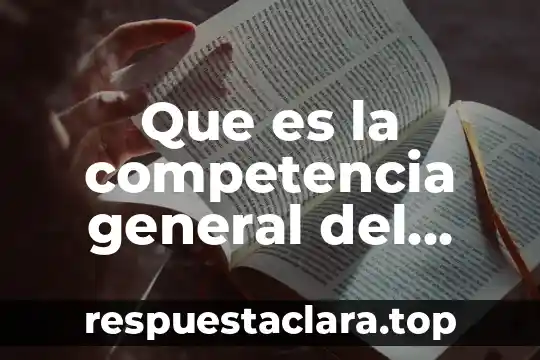 Que es a competencia por espacio 6 Que es la competencia general del razonamiento