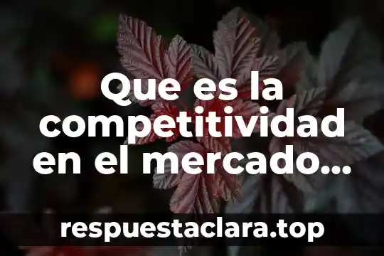 Que es el medio a 3 Que es la competitividad en el mercado laboral