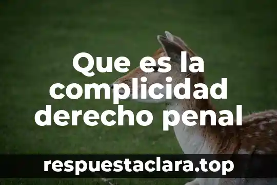 Que es la complicidad derecho penal