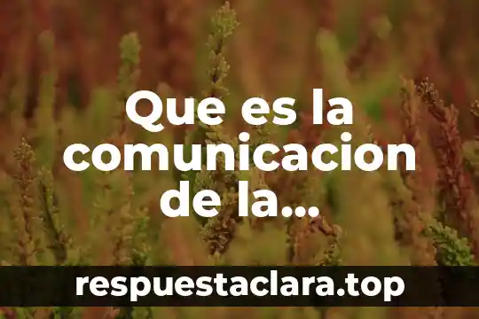 Que es la comunicacion de la tecnologia