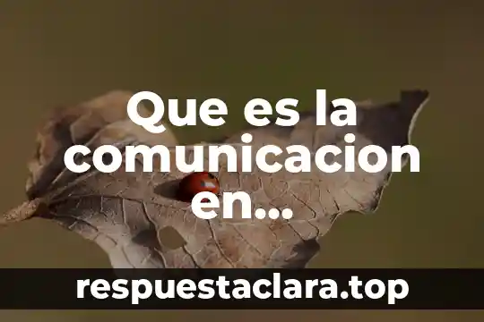 Que es la comunicacion en programacion