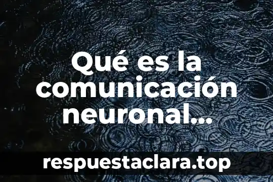 Qué es la comunicación neuronal sinapsis