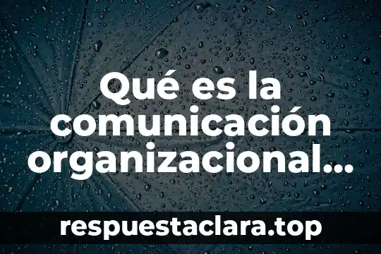 Qué es la comunicación organizacional y cuál es su importancia