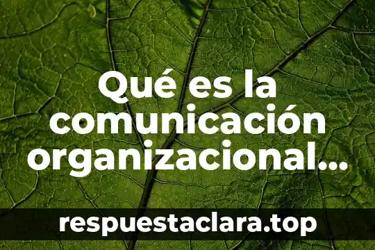 Qué es la comunicación organizacional y cuántos tipos hay