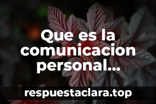 Que es la comunicacion personal autores