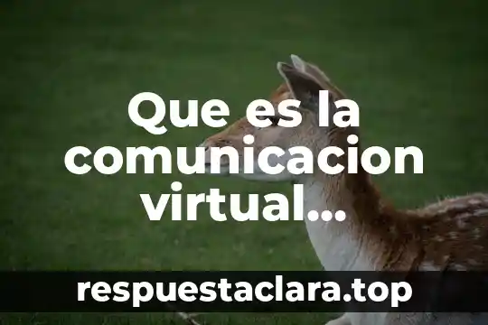 Que es la comunicacion virtual sincronica en resumen
