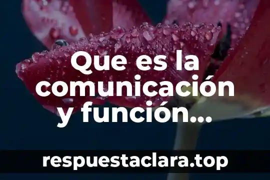 Que es la comunicación y función principal de la lengua