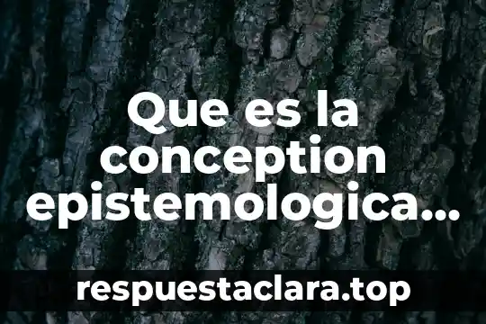 Que es una codificacion interna 8 Que es la conception epistemologica del animismo