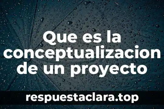 Que es la conceptualizacion de un proyecto