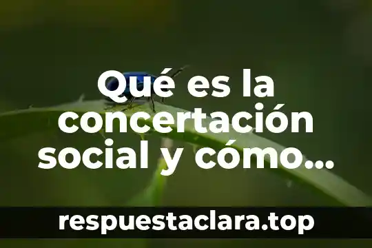 Qué es un entono social 8 Qué es la concertación social y cómo se logra