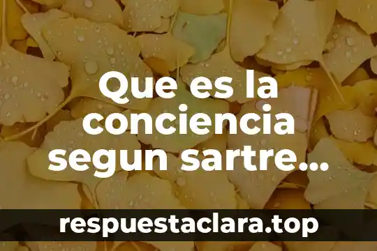 Que es la conciencia segun sartre yahoo