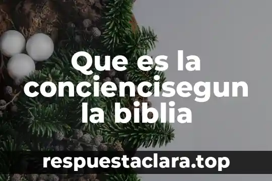 Que es la conciencisegun la biblia