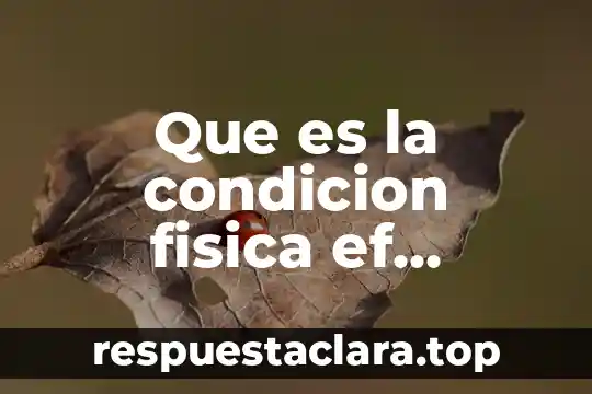 Que es condicion meteorologica donde hay nubes y sol 6 Que es la condicion fisica ef deportes