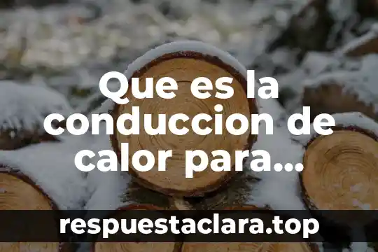 Que es la conduccion de calor para niños de primaria
