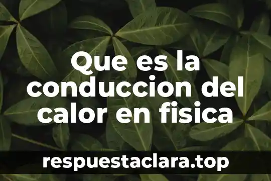 Que es la conduccion del calor en fisica