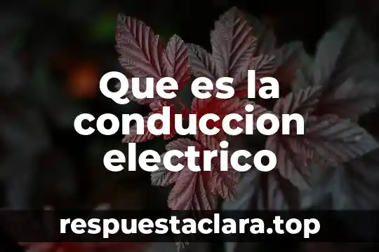 Que es la conduccion electrico