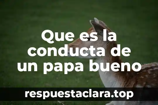 Que es la conducta de un papa bueno