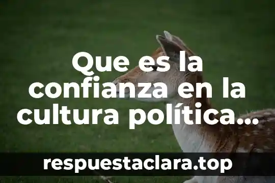 Que es la confianza en la cultura política democrática